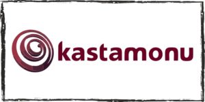 ламинат Kastamonu логотип